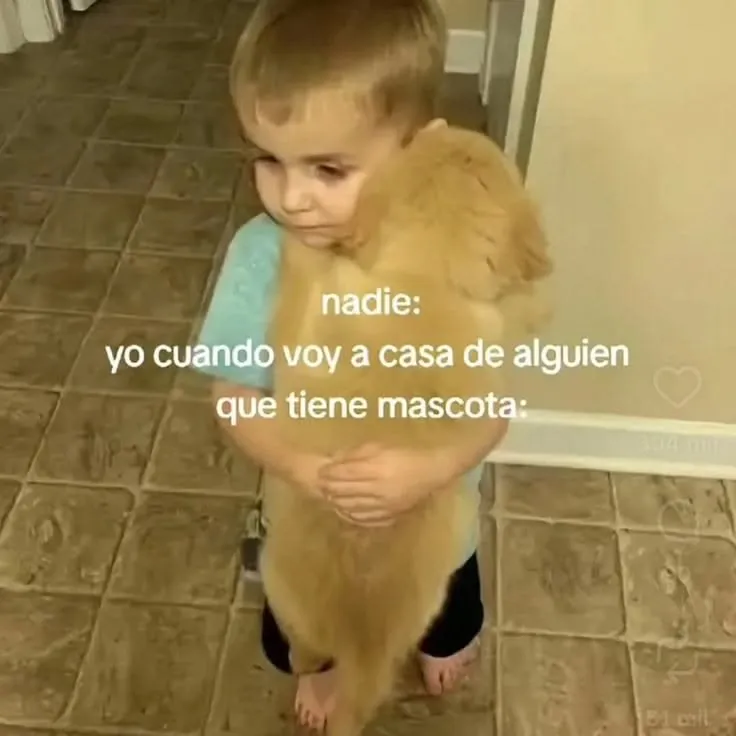 Perrito que veo, perrito que abrazo 😌🤍