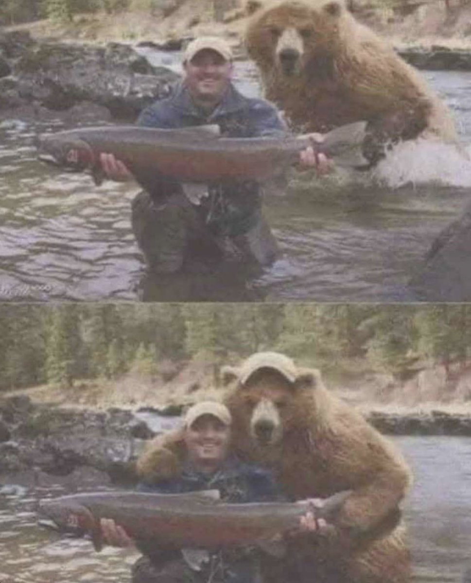 insaneposes's tweet image. 