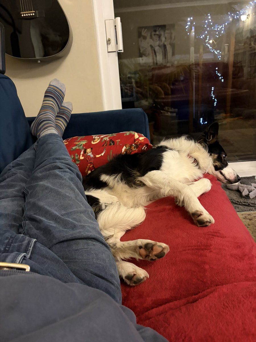 ☠️ Matt 👾 tweet media