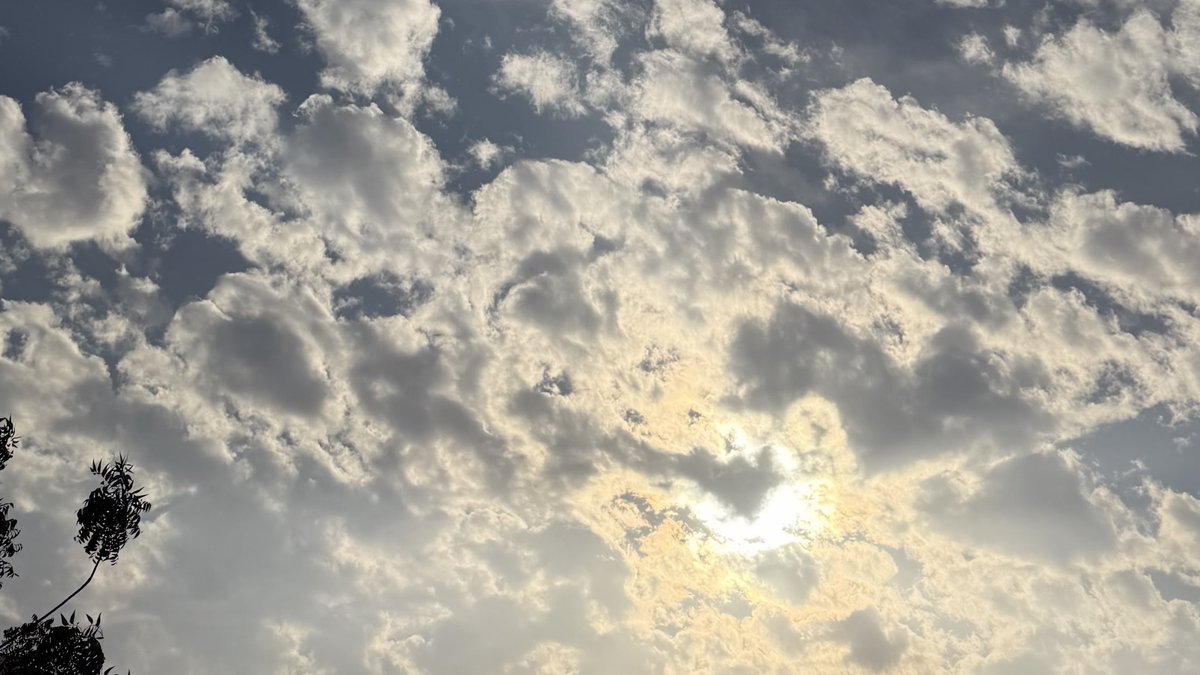 11_y2's tweet photo. ⛅️🌿✨ https://t.co/nSnpOsYfyZ