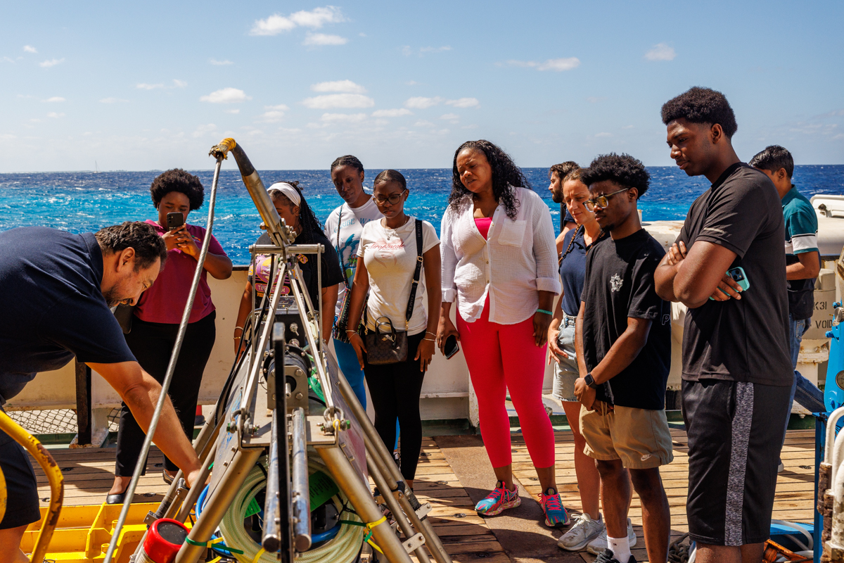 Blue Belt Programme tweet media