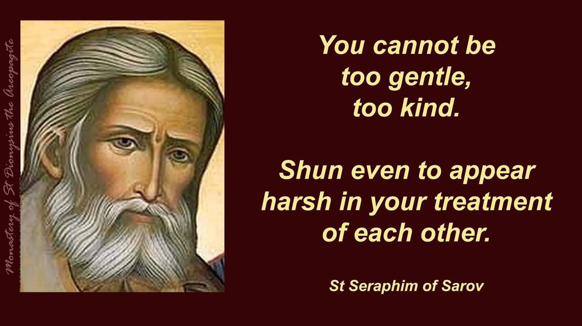 Fr. Theo ☦️ tweet media