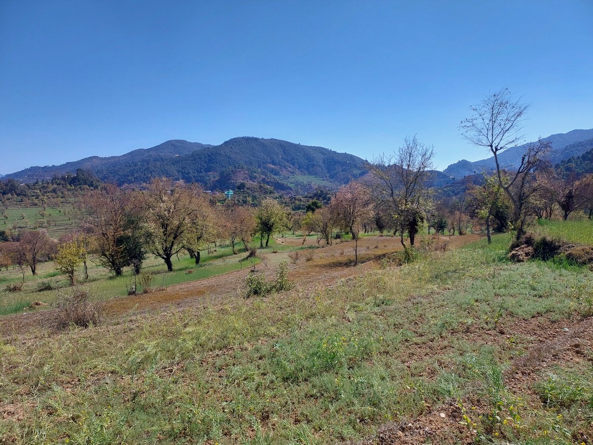 Nature Lover tweet media