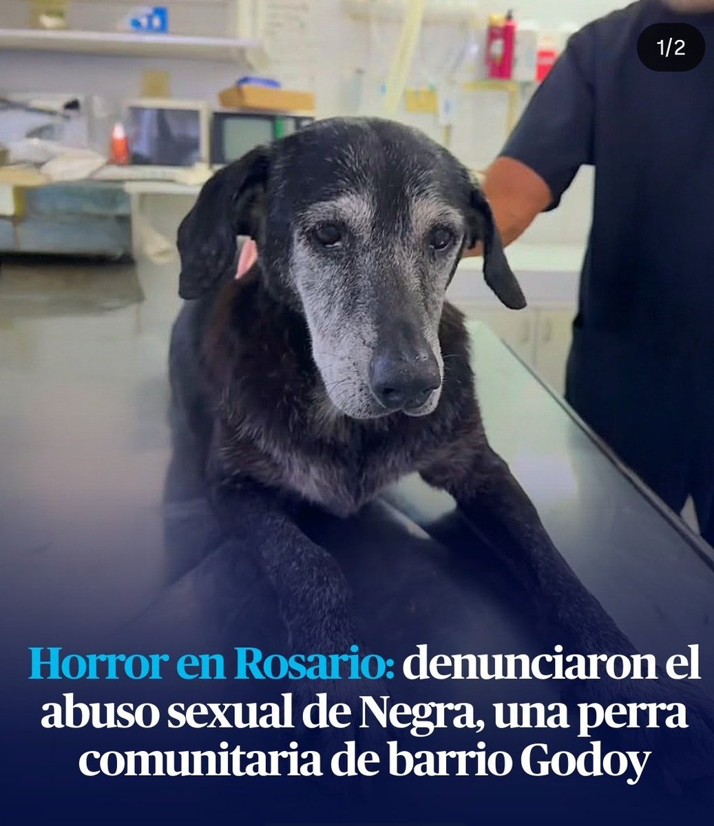 Demasiados degenerados sueltos abusando animales últimamente. Esta gente tiene que ir a una fosa común.