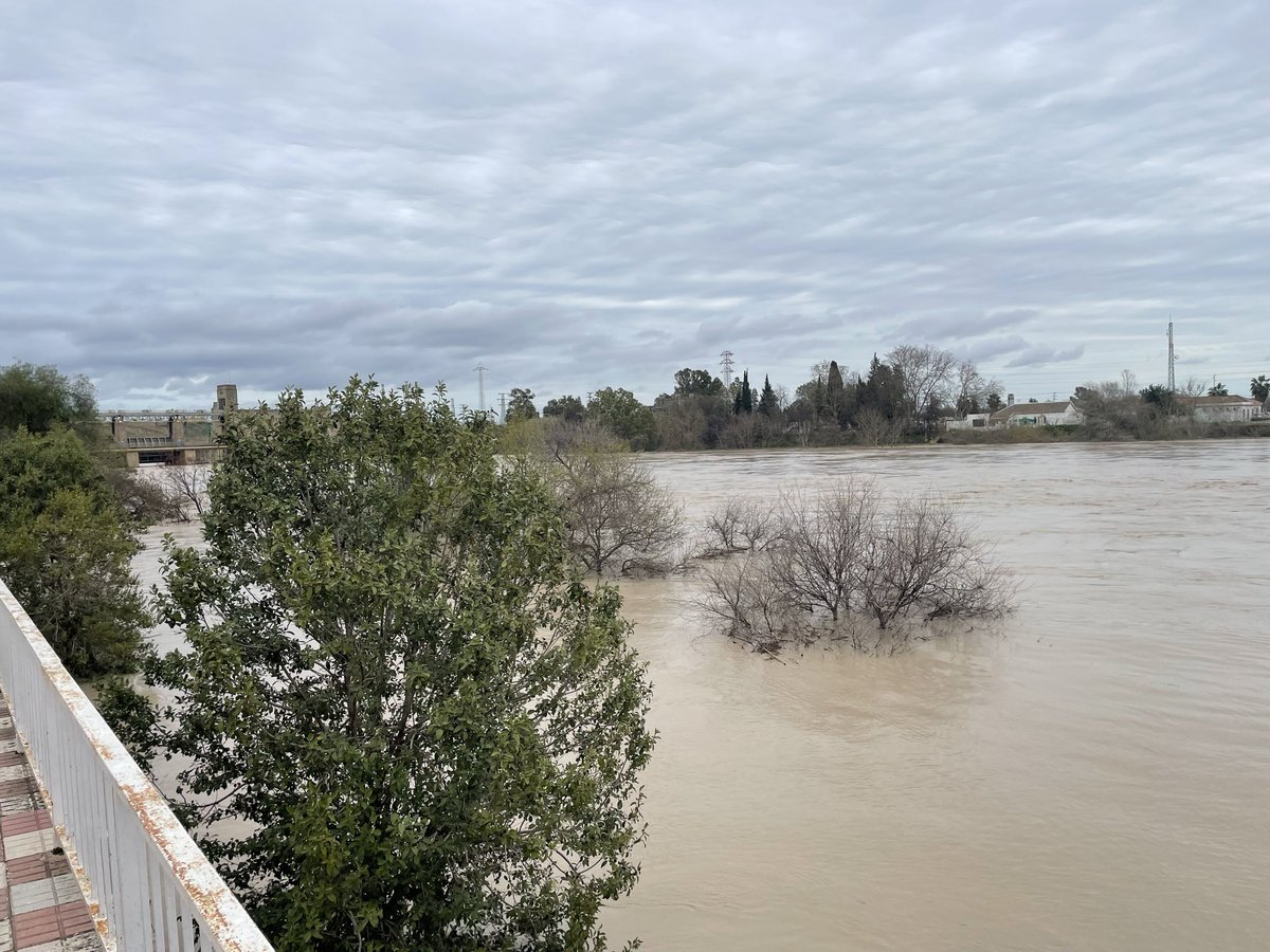 Hoy había turismo de inundaciones, domingueros de catástrofes. Será una putada, pero qué maravilla comprobar cómo, de cuando en cuando, el Río reclama su poderío histórico.
