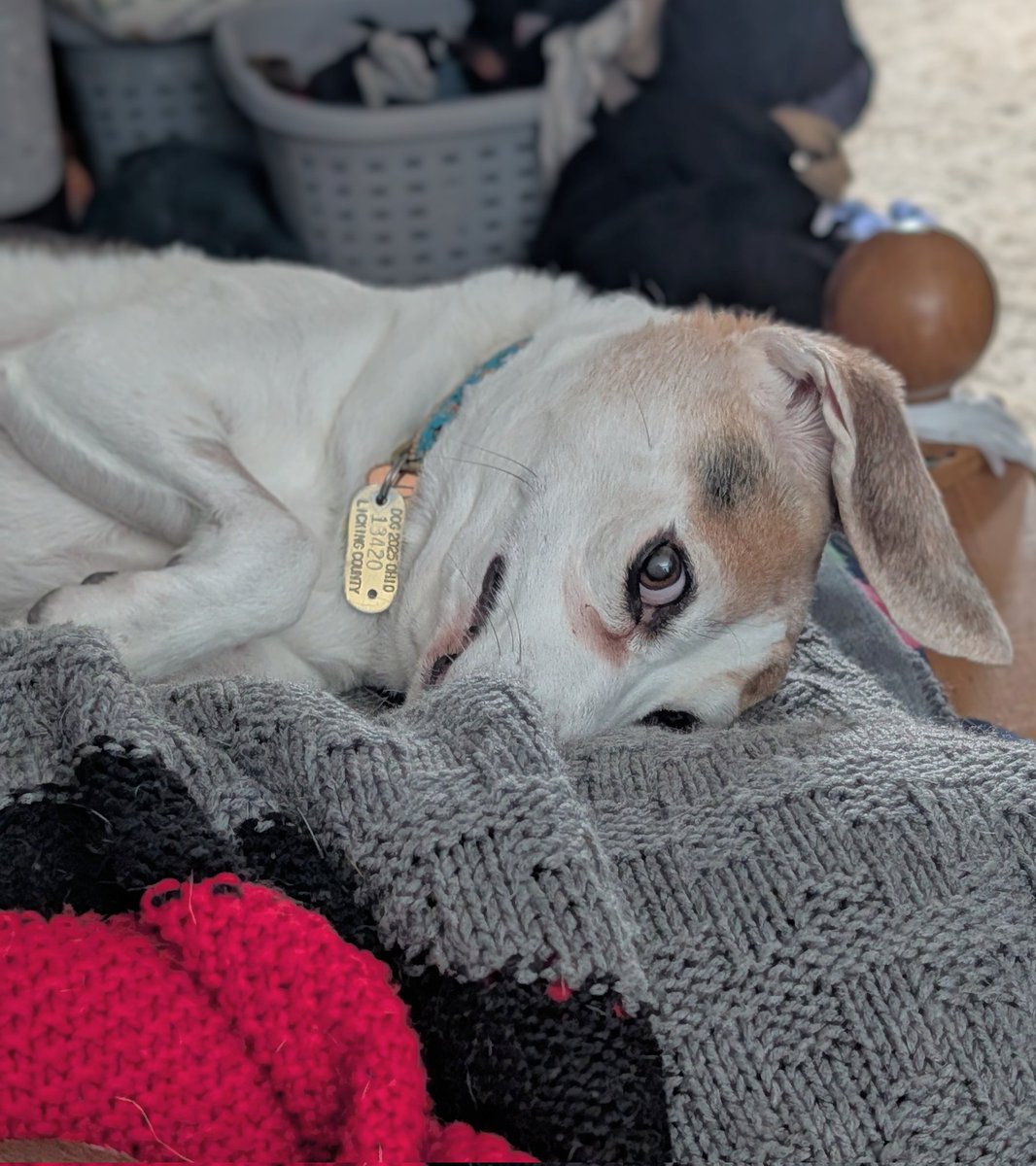 Kristin, The Normanator and 🌈 Friends tweet media