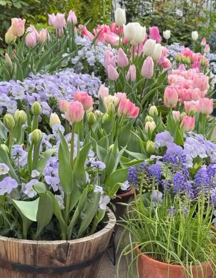 𝓞𝓷𝓵𝔂 𝓐𝓮𝓼𝓽𝓱𝓮𝓽𝓲𝓬 (@oaesthetiicc) on Twitter photo 