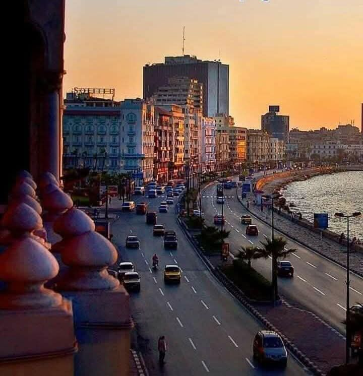 Alexandria feels like a love letter between the Mediterranean and history. Stroll the seafront corniche, explore libraries and catacombs, then end the day with sea‑fresh seafood and sunset views over Egypt’s coastal gem.

#AlexandriaEgypt #MediterraneanVibes