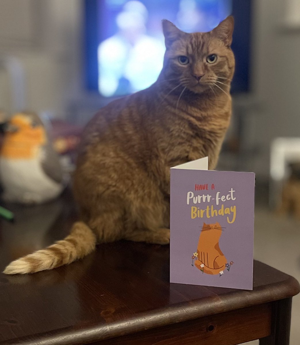 🎉 Hey chums!  🎉 Today is my birthday! 🎉 
🎈 I’m 9️⃣ 🎈 
I’ve had a card, roast chicken for lunch, and treats. Human says my present is still in the post! 😻
Love to all.  JacK 🐾🐾
#CatsOfTwitter #CatsOfX