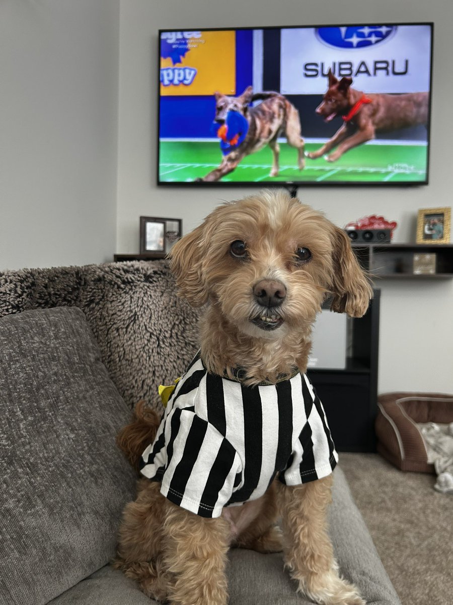 Kristina Danella tweet media