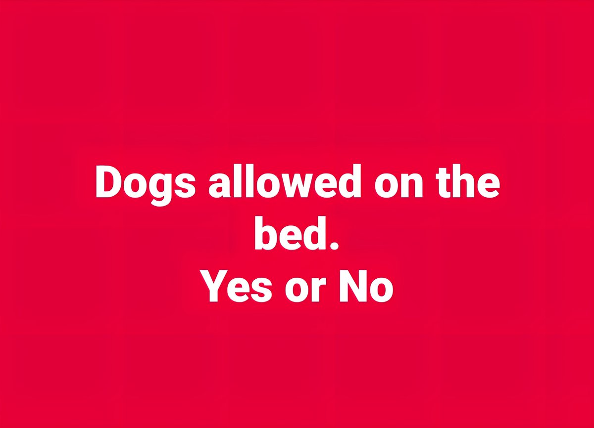 lippyent's tweet image. Hmm 😒 🤔?¿