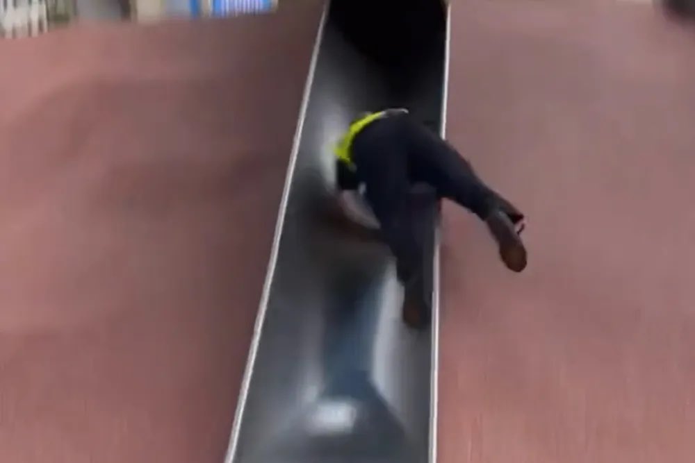 birdmoder's tweet image. Luge training be like