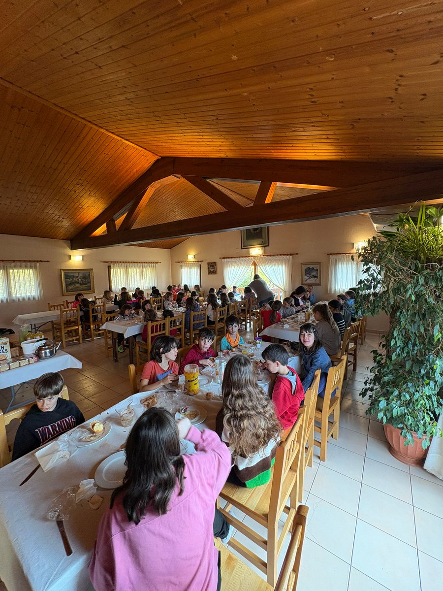 EMM de Berga tweet media