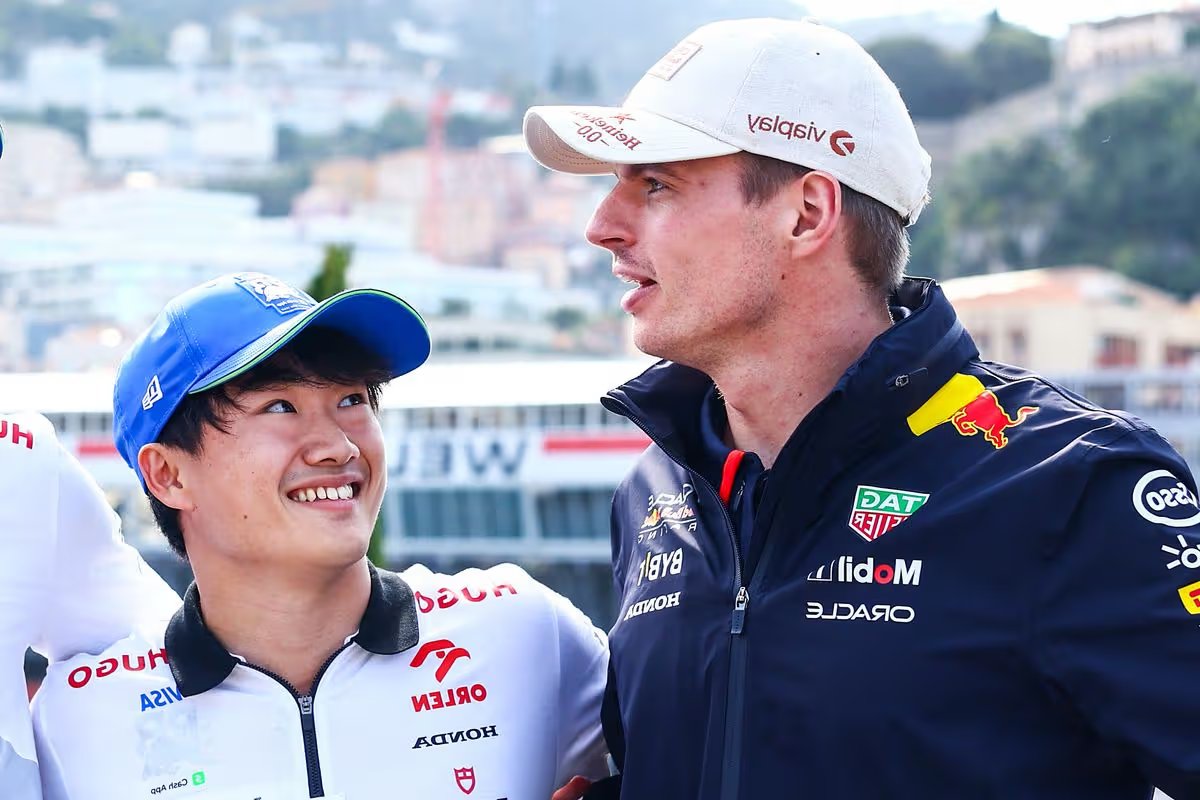 Shmol cat and Big Cat 2