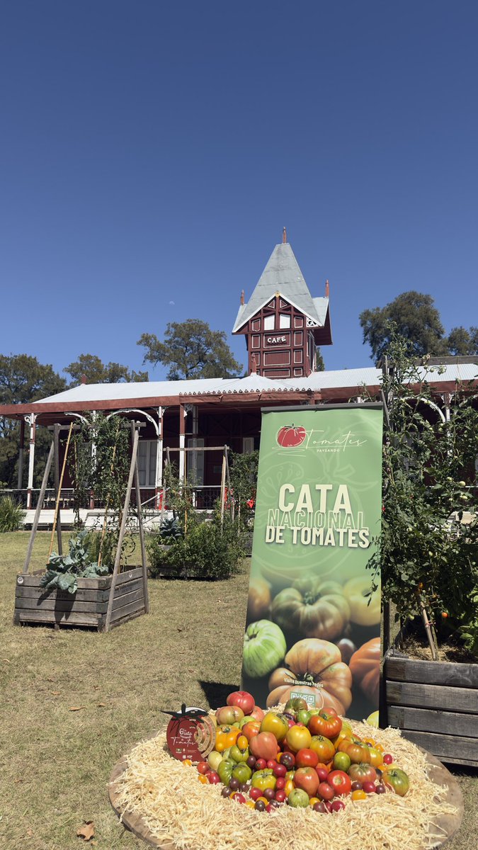 En la mañana de hoy comenzó en Paysandu un nueva edición de la Cata del tomate, la sexta, un evento que crece y nuclea a muchos productores.
Todo  comenzó  como una rareza de un coleccionista de semillas de
Tomate, hoy  se consolidó con el apoyo de la <a href="/idpaysandu/">Intendencia de Paysandú</a> y la <a href="/UTECuy/">Universidad Tecnológica</a>