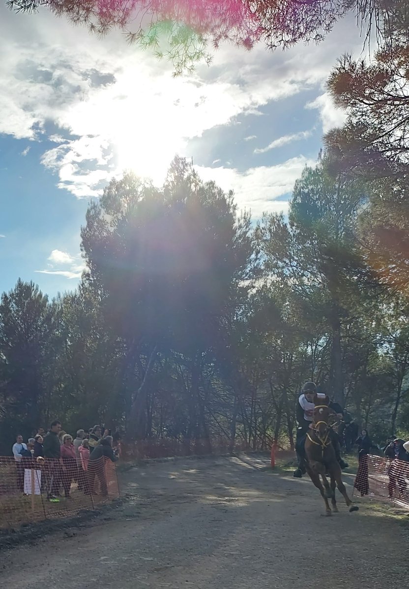 Festa dels traginers de Balsareny, apuntada per l'any vinent!