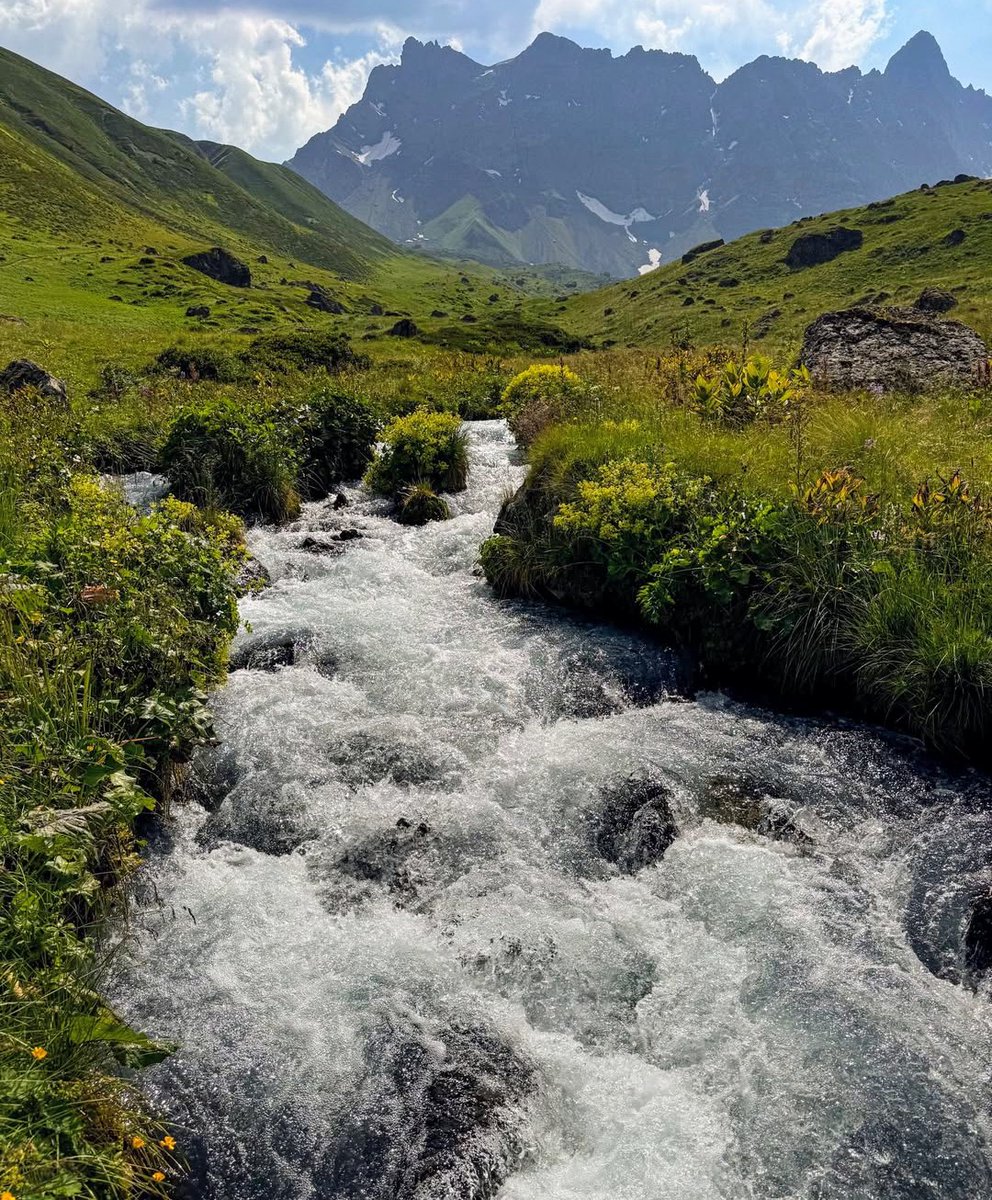 Otar Rogava tweet media