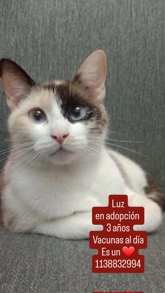 RAQUEL TERESITA MAITA tweet media