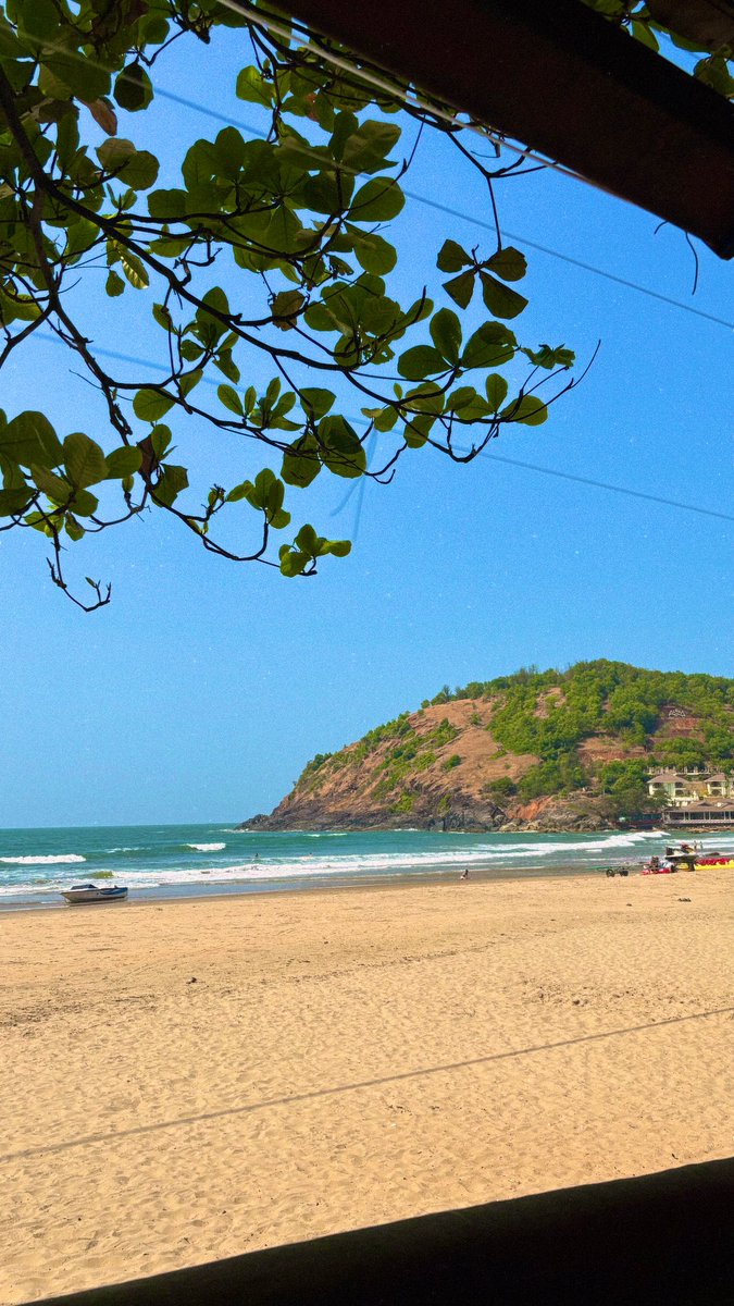 Y (@yhnoope) on Twitter photo 