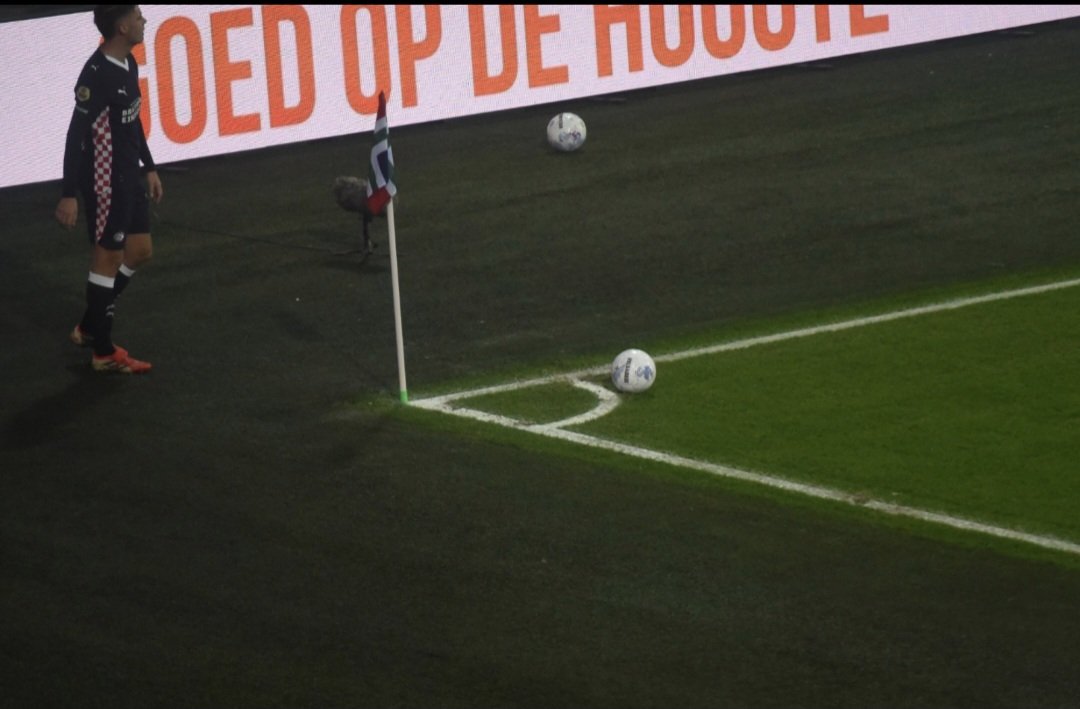 Hey <a href="/KNVB/">KNVB</a> sinds wanneer mag er op deze manier een hoekschop genomen worden? Het zure en onterechte is dat uit deze hoekschop de 1-2 kwam bij Groningen - PSV. Was de grensrechter blind of zo en waar was de VAR?