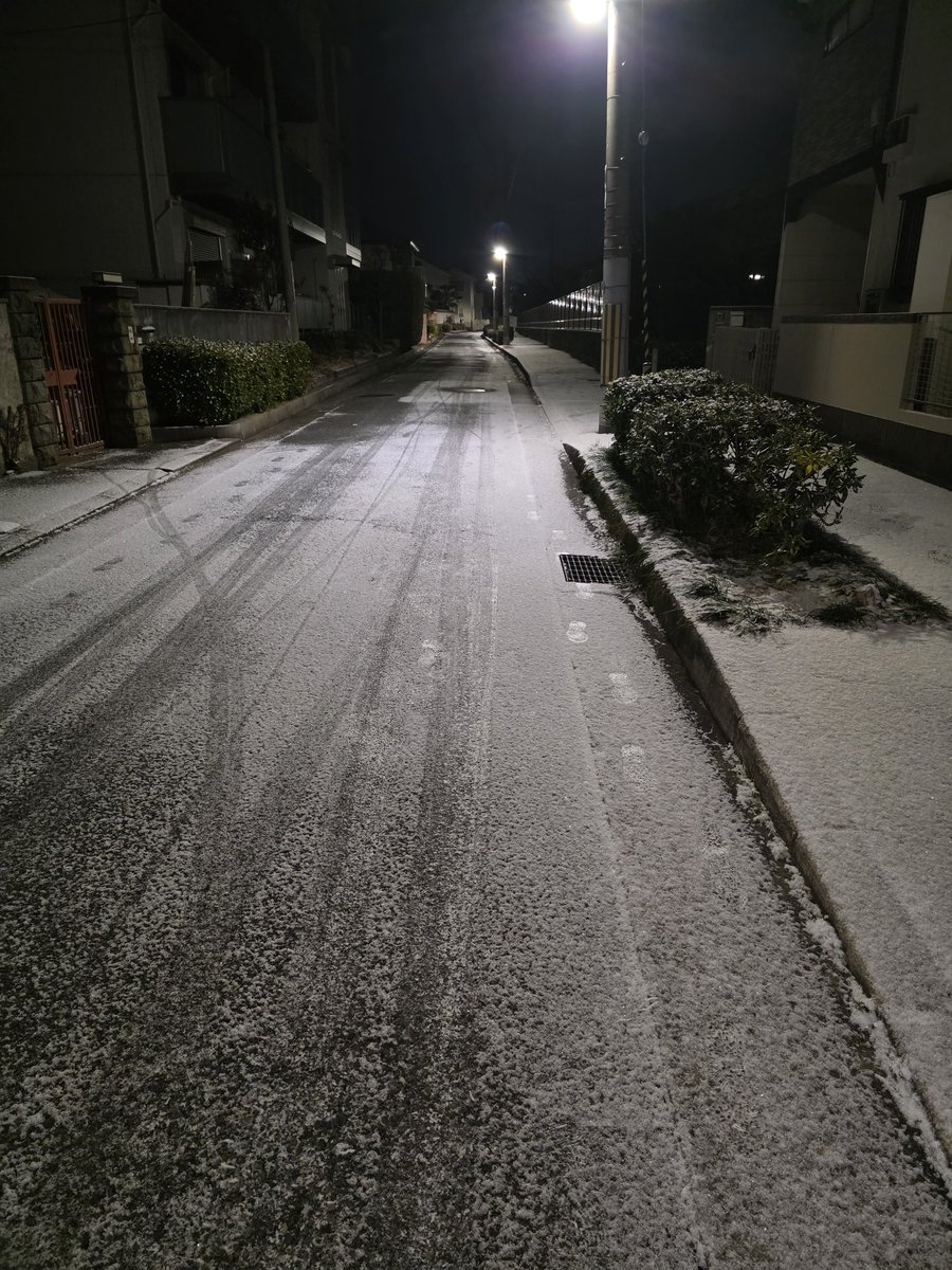 マジで地元で雪なんてつもらんのでテンション上がる！地面凍結してて寝坊したので電車逃すかと思ったけど