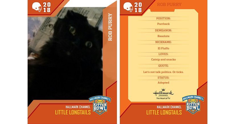 JLHerms's tweet image. #KittenBowl 
The one, the only Rob Purry.. outstanding player for the Little Longtails in 2018! #RIPRob 🕯️ We miss you..😔💔
#PuppyBowl 
#SuperBowl 
#SuperBowlLX 
#CatsAreFamily 
#CatsOfX