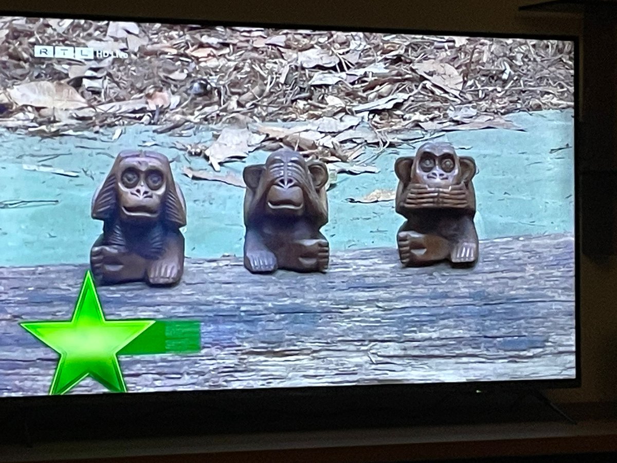 Gil bei jeder Konfrontation

 #ibes2026 #ibes26 #ibes