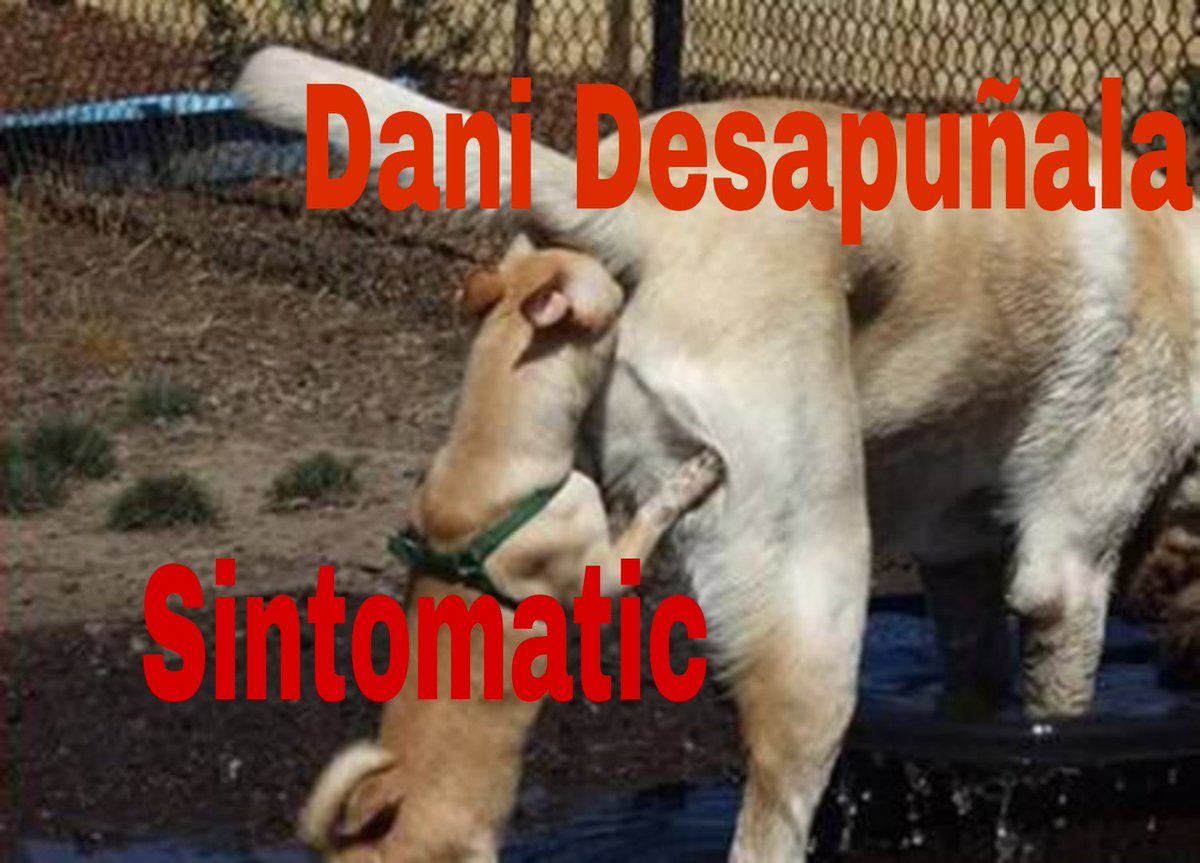 DelinCuento (@delincuento) on Twitter photo 