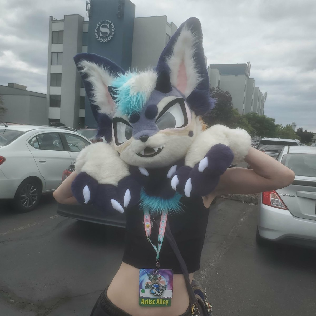 𓃫 yocholol 𓃫 tweet media