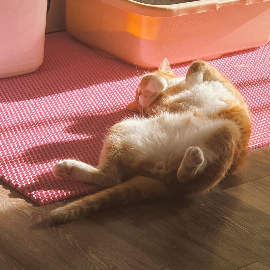 빛과 소금이 tweet media