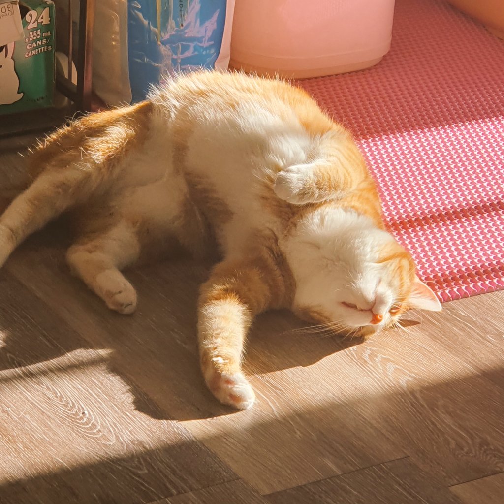 빛과 소금이 tweet media