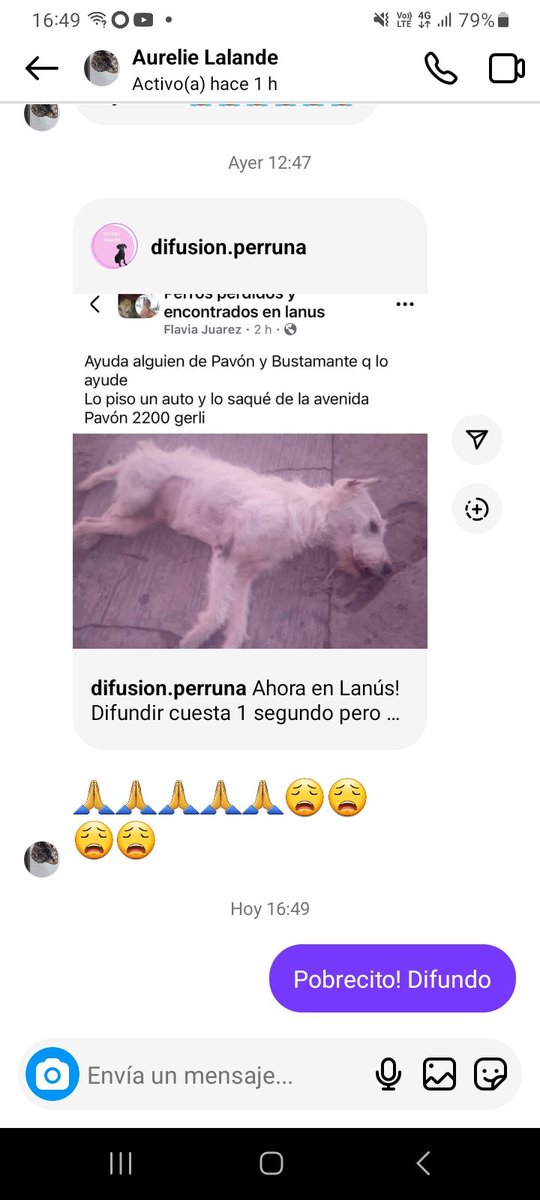 Como No Adorarlos tweet media