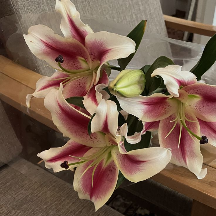 chaarpaai's tweet image. 