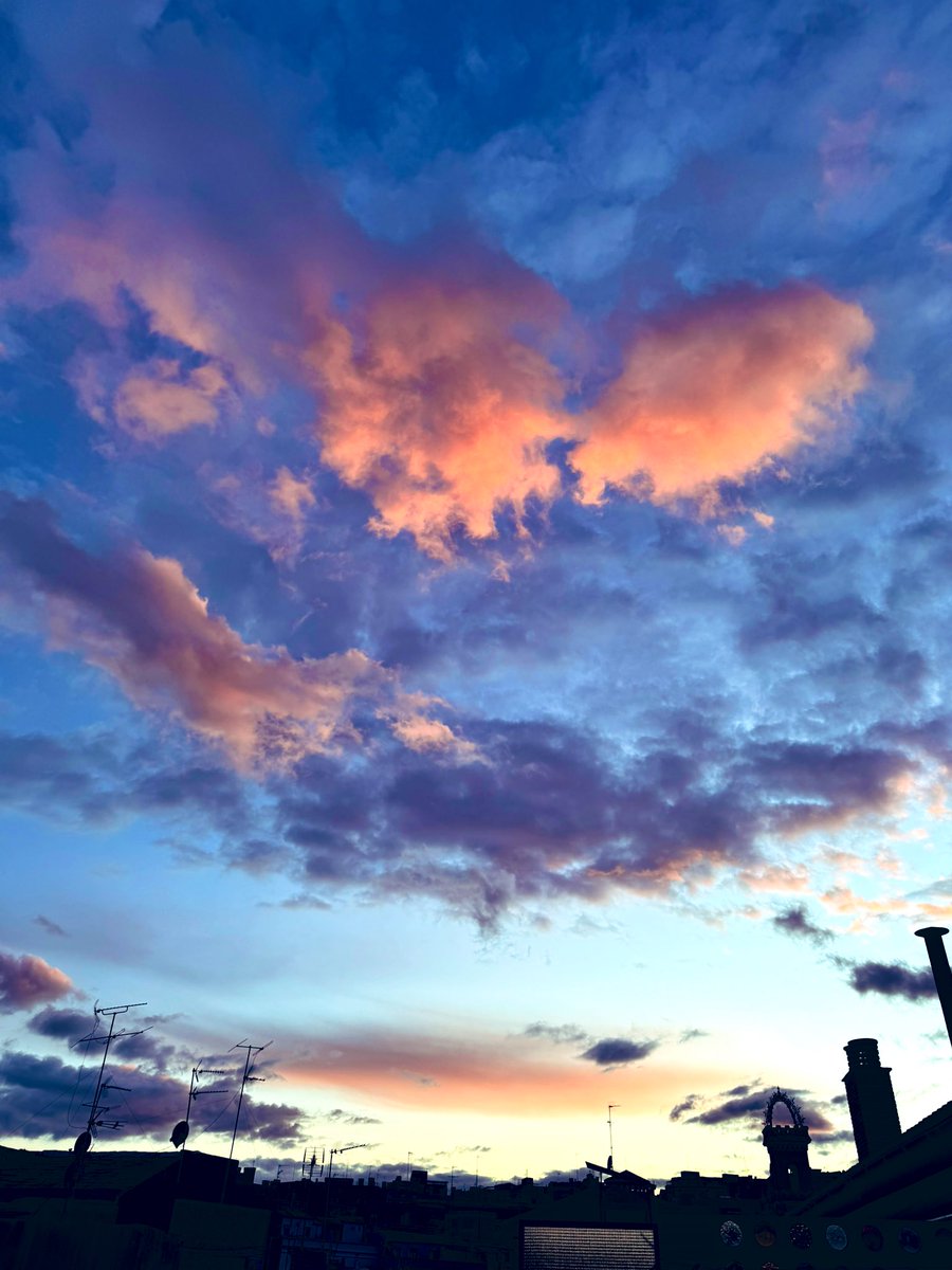 sofialopppez's tweet image. Buenas noches🧡✨🌙