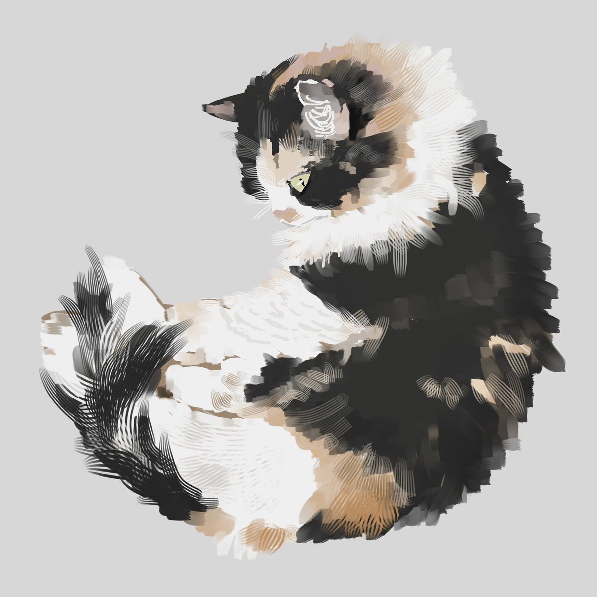 ネコチャン写経