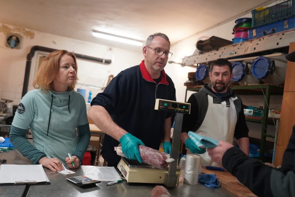 Josef Kvasnička tweet media