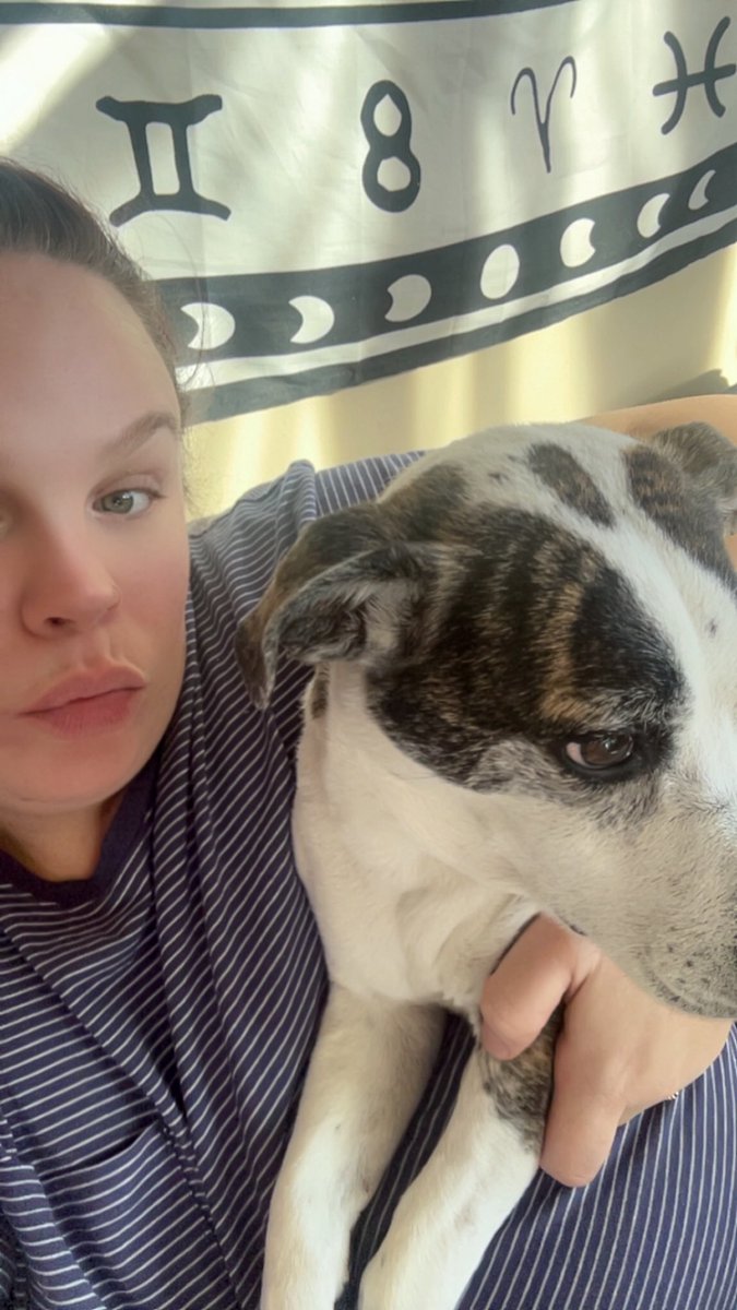 Katie tweet media