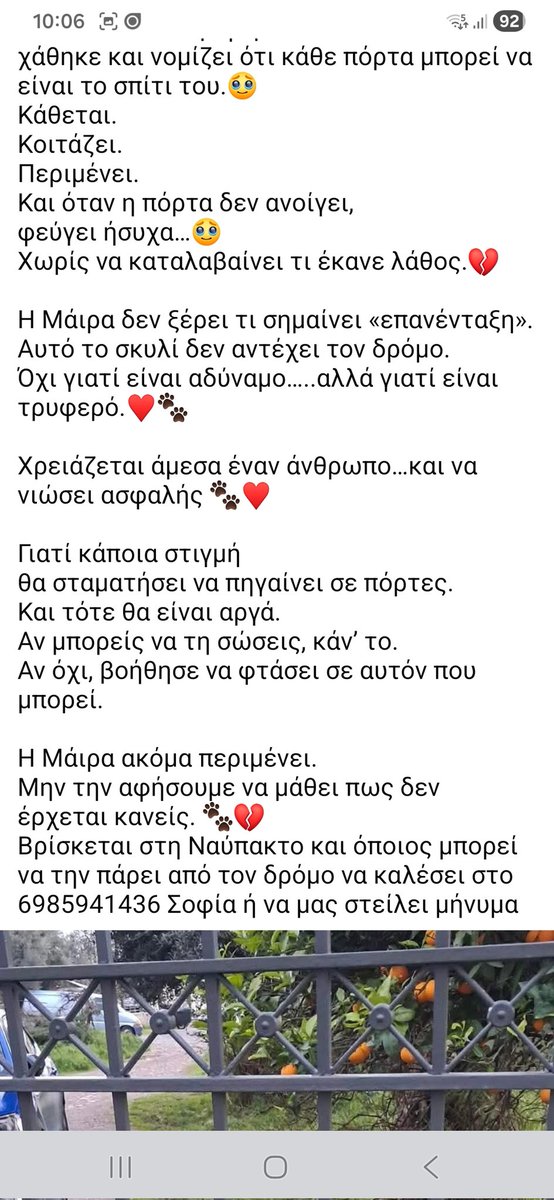 🆘️🆘️🆘️
Τη λένε Μαιρα κ κάθε μέρα κάνει το ίδιο πράγμα,στέκεται εξω απο πόρτες σπιτιών,οχι για φαγητό αλλά γτ ελπίζει οτι θα ανοίξει μια πόρτα για εκείνη
1 έτους,15 κιλά,στειρωμενη με τσιπ
Βρίσκεται στη Ναύπακτο
Ένας άνθρωπος για την ψυχουλα;
Rt 🙏 🙏 🙏