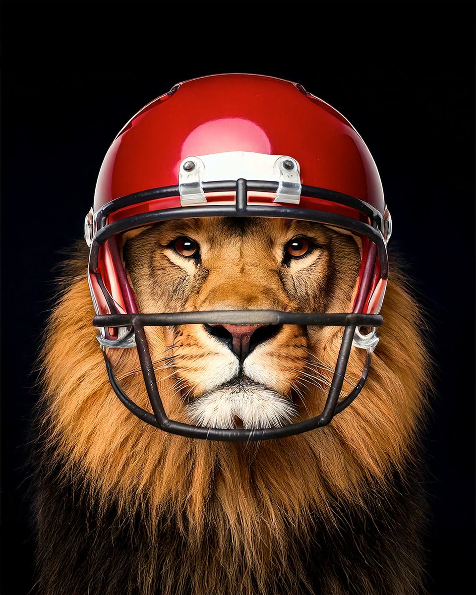 ROARY is ready for Super Bowl Sunday. Put him in, coach! 🏈

#SuperBowlSunday #ROARLogistics