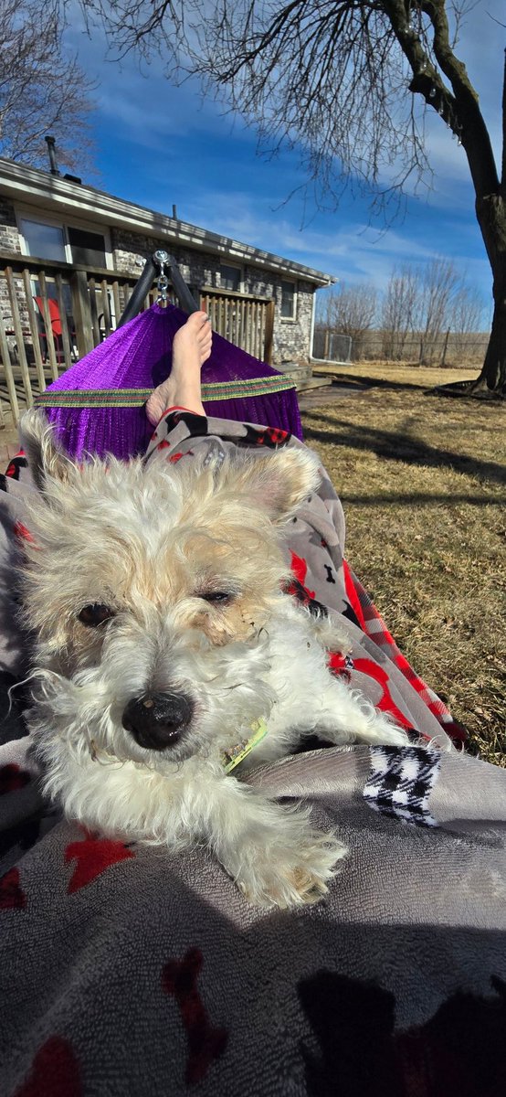 squidgypknut's tweet photo. Its gorgeous out! The perfect day to get out the hammock! Somewhere in Lincoln. @BradAnderson_WX @BrandonRector @rustywx https://t.co/89TDPjsglc