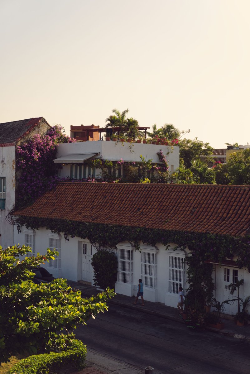 Akitar_x's tweet photo. Golden hour brings Cartagena's colonial charm to life. 🌺🏡 #Cartagena #ColombiaTravel #ColonialArchitecture #GoldenHour https://t.co/dIoF8QhOaR