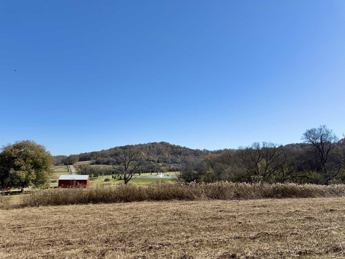 tutt_land's tweet image. 57.61 +/- ac - Marshall County, TN - $1,099,900
Cory Prado 615-489-0365
Located off Harris Road.
buff.ly/uavJkQ5 
#trustedlandprofessionals #tuttlandco #marshallcounty #tennessee #landforsale