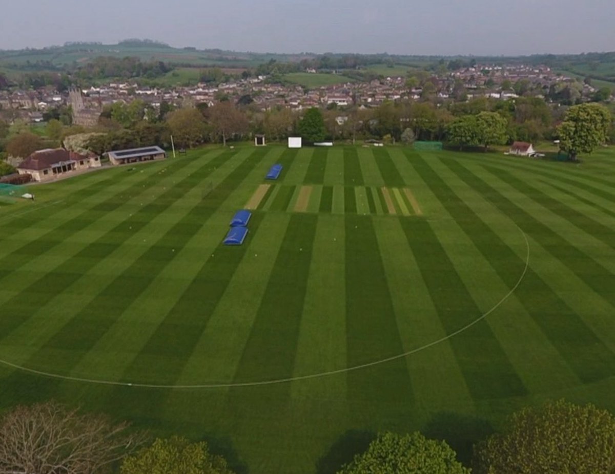 Dreaming of grass cutting season