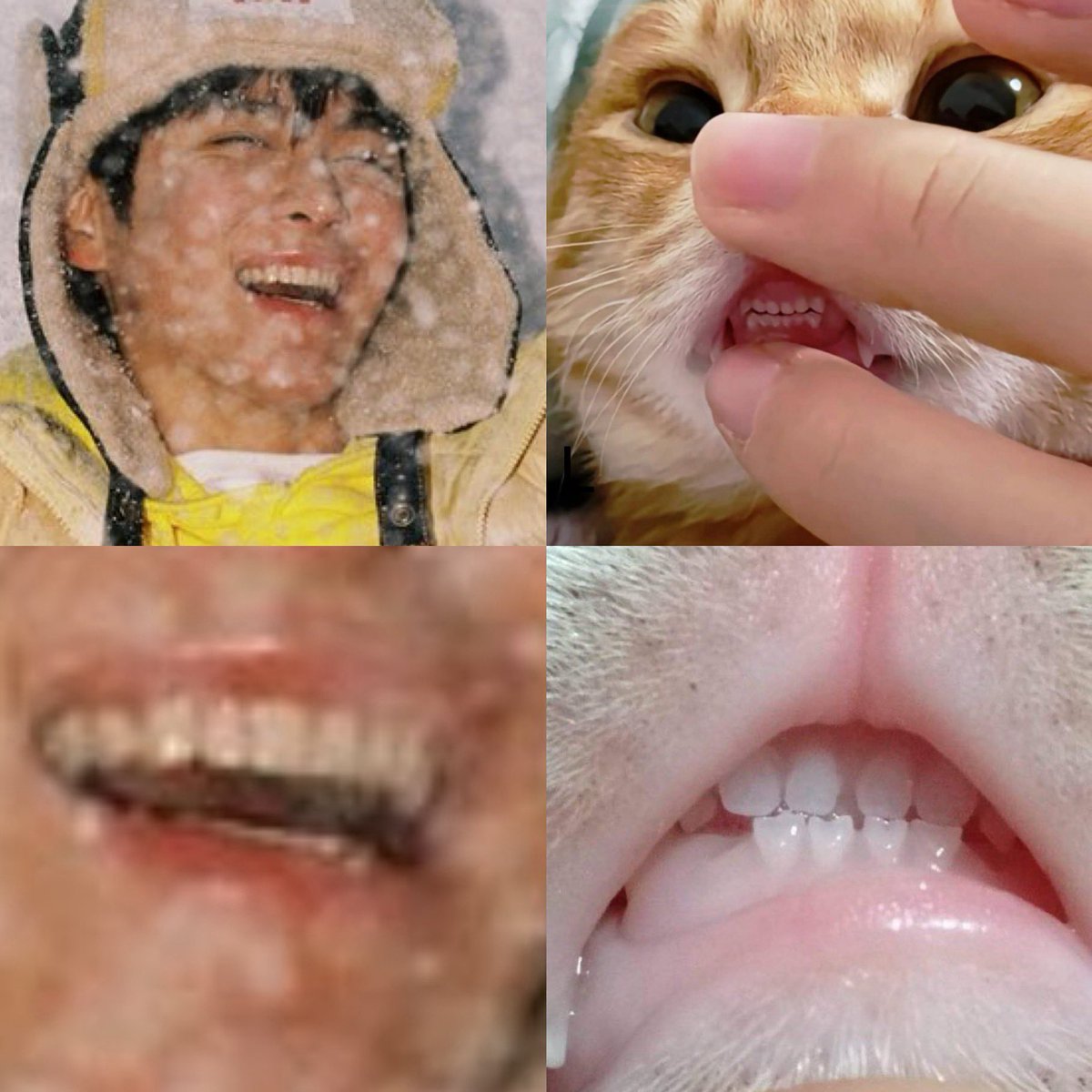 L (@random_x_sweet) on Twitter photo 