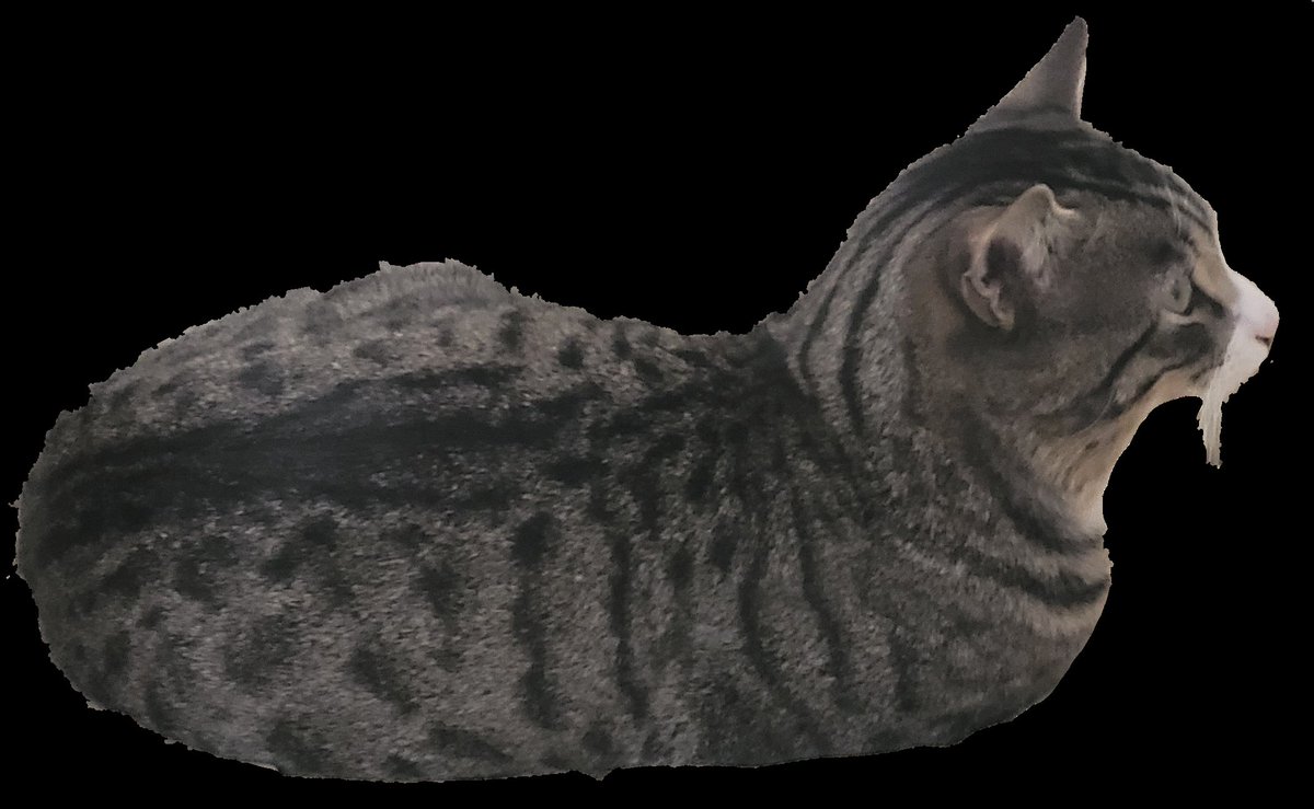 Bitgamer tweet media