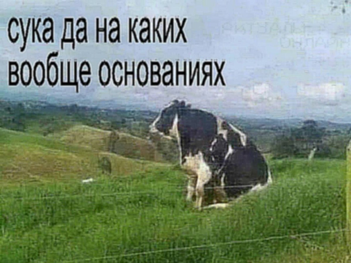 👑🌽Царь кукурузы🌽👑 (@kukuruzaleon) on Twitter photo 
