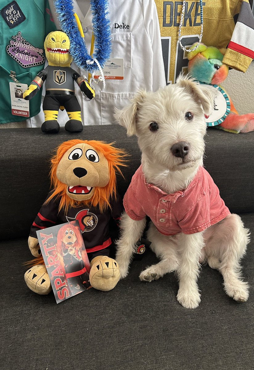 My friend <a href="/REAL_Spartacat/">Spartacat 🦁</a> sent me his plush toy and a signed trading card! So cool!
Thank you Mr. Spartacat! 
~ Deke🐾
#TherapyDog
#PawYouNeedIsLove