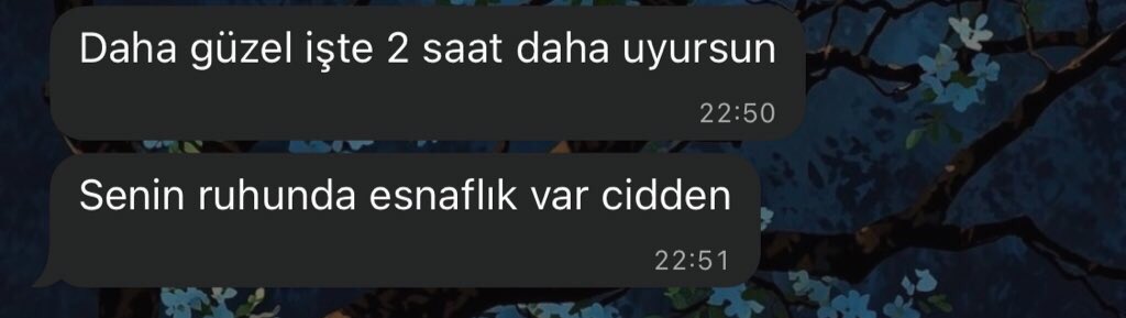 esnaflıktan bir tık kurumsallığa geçince üzülmüş olabilirim evet