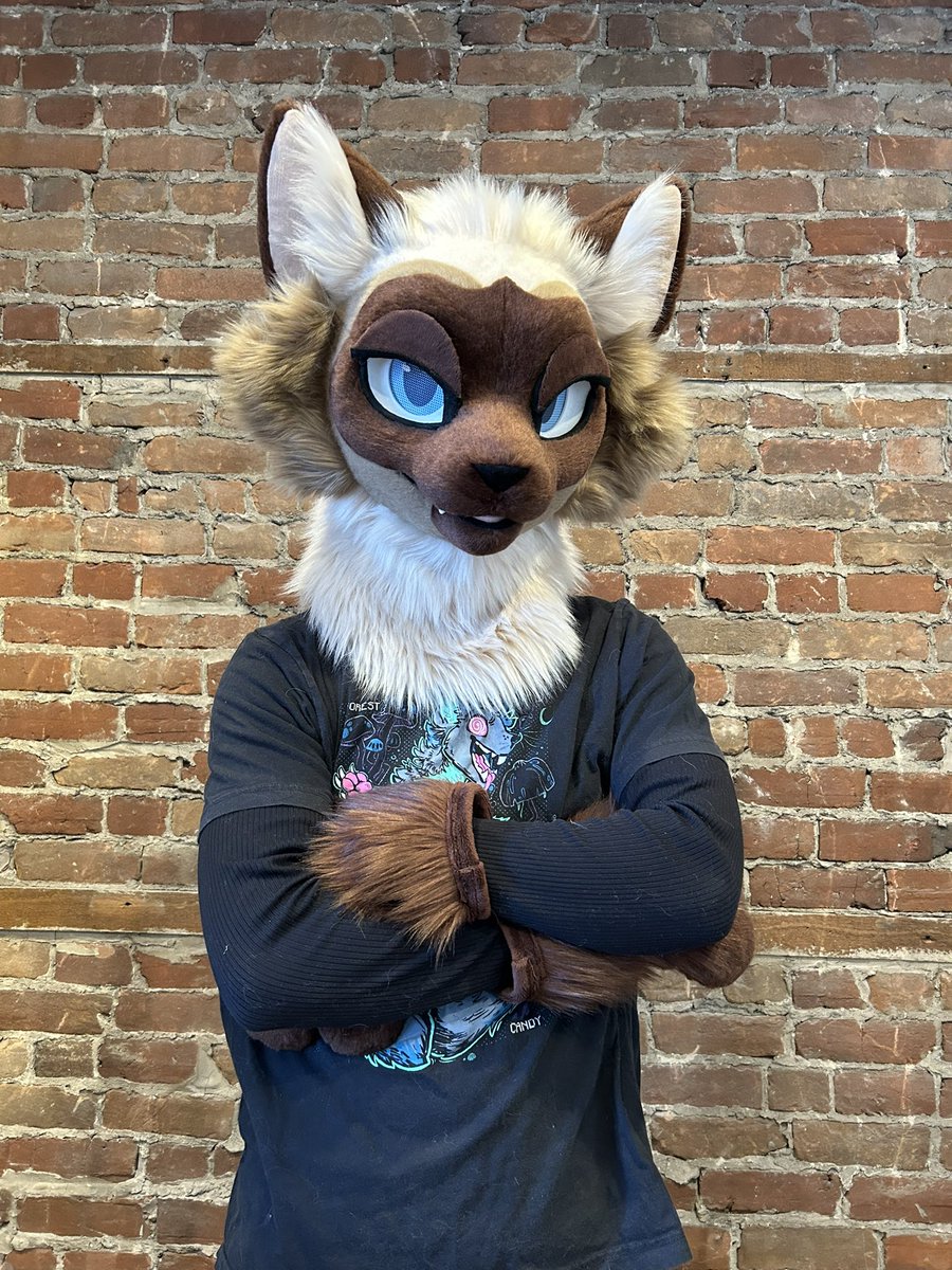 Scarlet Wings Fursuits tweet media