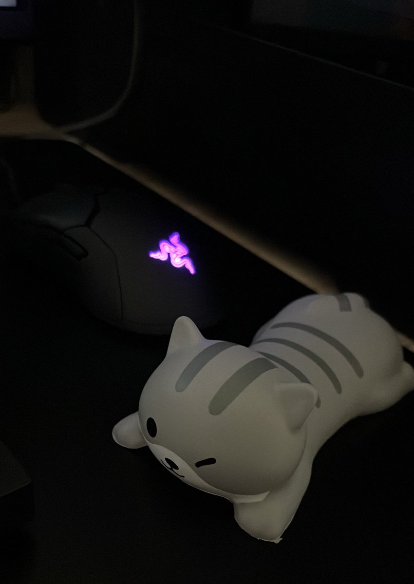 ضيف جديد على الست اب  🩷🐈‍⬛